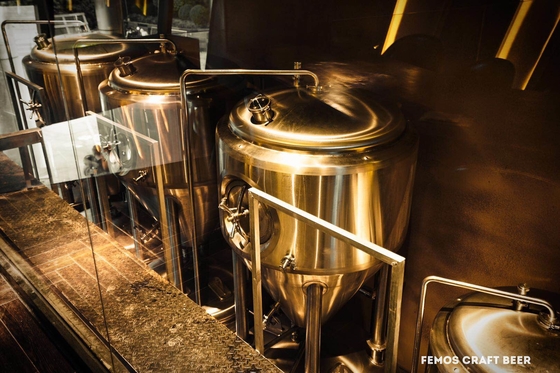 Microbrewery de SS304/de SS316l que elabora la pequeña cerveza del equipo que elabora sistemas