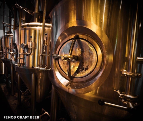 Cree la cerveza para requisitos particulares casera que elabora la planta de la cervecería del equipo para la fabricación de la cerveza de Walt