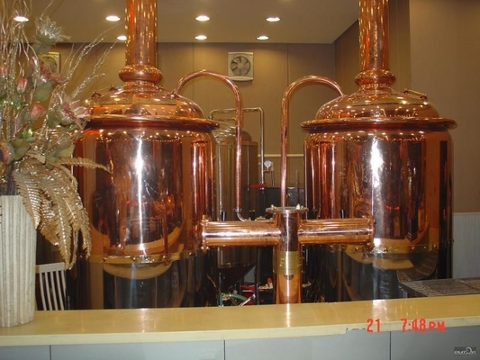 certificación de llavero del CE del sistema de la elaboración de la cerveza del mini equipo micro de la cervecería 500L