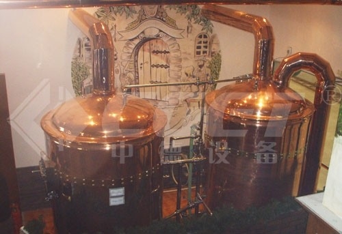 certificación de llavero del CE del sistema de la elaboración de la cerveza del mini equipo micro de la cervecería 500L