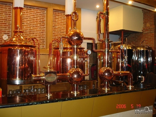 certificación de llavero del CE del sistema de la elaboración de la cerveza del mini equipo micro de la cervecería 500L