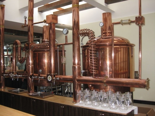 Pequeña escala micro de la máquina de la fábrica de la cerveza del hotel que elabora grueso del sistema 1000L 3m m