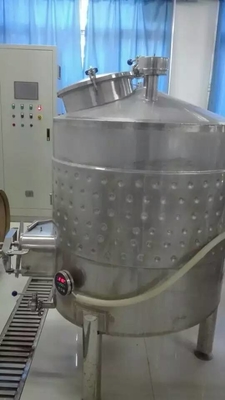 cadena de producción de la cerveza 100L SUS 304 del equipo de la cata garantía de 1 año