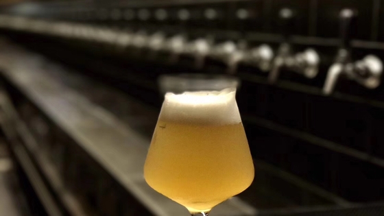 Cerveza del arte del Pub que elabora monofásico de la calefacción de vapor del equipo o la fase 3