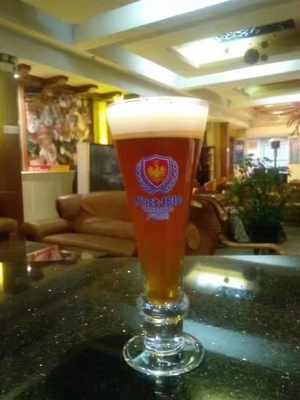 cerveza del arte del buque 500L 2 que elabora sistemas de llavero del Microbrewery del equipo