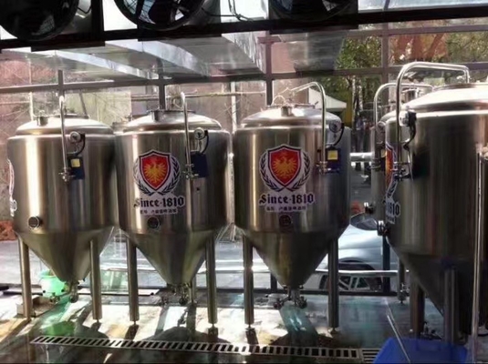 Haga el material casero 304/316 del acero a mano inoxidable del equipo del Microbrewery de la cerveza