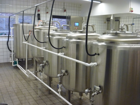 Cubas profesionales 1000L de la elaboración de la cerveza del acero inoxidable del equipo del Microbrewery