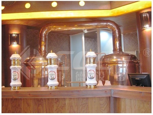 cobre rojo 500L que elabora la cerveza casera del equipo que elabora el equipo garantía de 1 año
