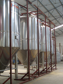 Equipo cónico de la elaboración de la cerveza del acero inoxidable de la fermentadora para el hotel de los restaurantes