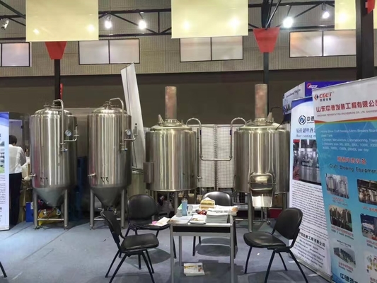 Cerveza de 10 barriles que hace equipo el acero inoxidable capacidad casera del sistema que elabora 500L