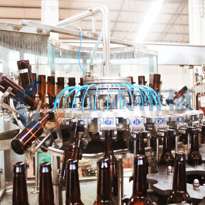 Línea de embotellamiento de la cerveza de la máquina de rellenar de la cerveza del certificado del CE AC220V o AC380V