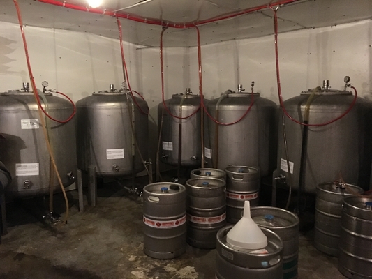 tipo de llavero de la vertical de los sistemas de Brewpub del equipo del Microbrewery de 500L 1000L SS304
