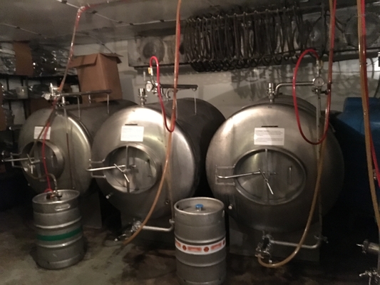 tipo de llavero de la vertical de los sistemas de Brewpub del equipo del Microbrewery de 500L 1000L SS304