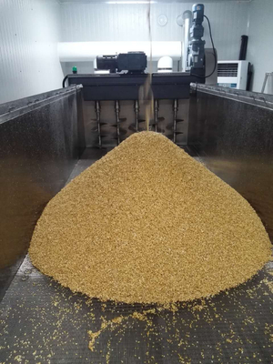 Cadena de producción del embalaje el malteado con el empapamiento del tanque, germinando estofando la caja