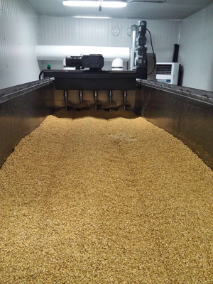 Cadena de producción del embalaje el malteado con el empapamiento del tanque, germinando estofando la caja