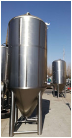 Fermentadora cónica 3000L de la cerveza de fermentación de la cerveza brillante vestida vertical del depósito