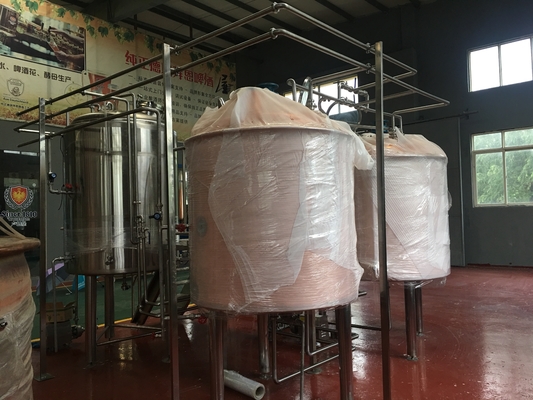 Cerveza de pequeña capacidad que elabora la fermentadora del acero inoxidable de los depósitos de fermentación del sistema 10Hl