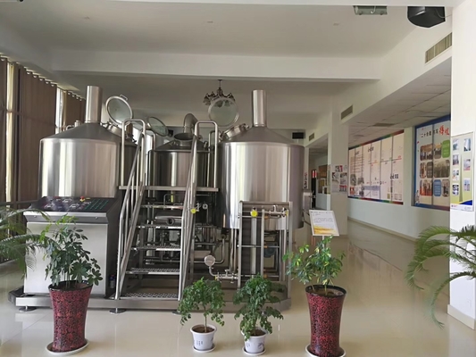 Cerveza del arte SUS304 que elabora el equipo 20bbl con control del PLC de la piedra de la carbonatación