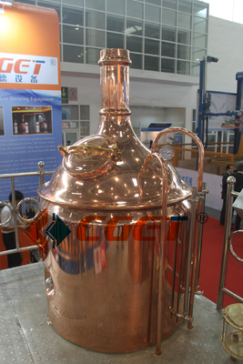 Cerveza del arte del SUS 304 que elabora el equipo 500L que elabora el sistema con el CE del ISO certificado para Rusina