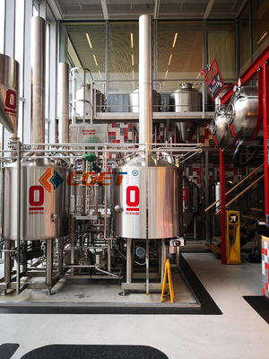 Cerveza del arte del SUS 304 que elabora el equipo 500L que elabora el sistema con el CE del ISO certificado para Rusina