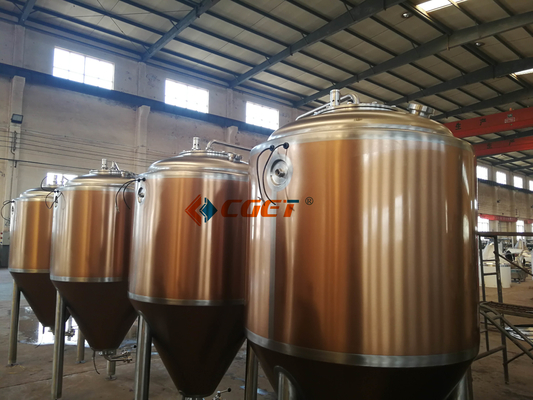 Cerveza del arte del SUS 304 que elabora el equipo 500L que elabora el sistema con el CE del ISO certificado para Rusina