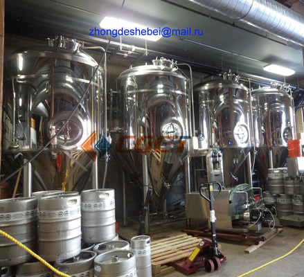 equipo de la elaboración de la cerveza del gran escala 3000L 304 bombas sanitarias
