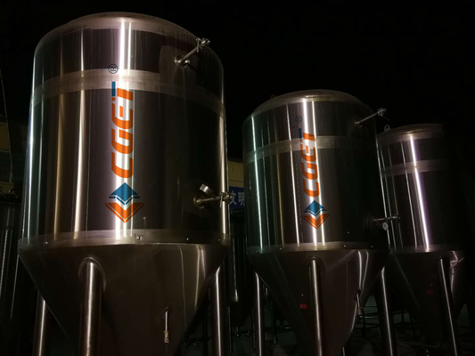 equipo de la elaboración de la cerveza del gran escala 3000L 304 bombas sanitarias
