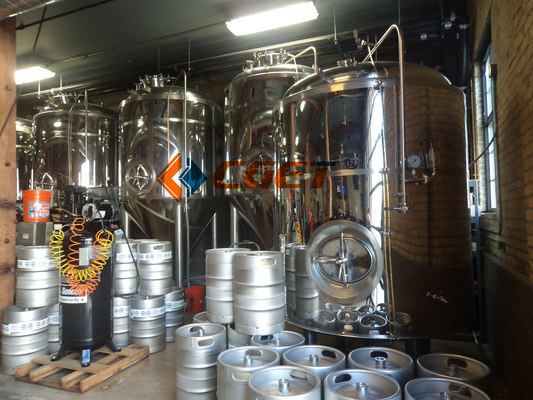 equipo de la elaboración de la cerveza del gran escala 3000L 304 bombas sanitarias